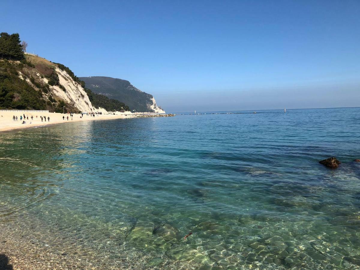 Zelinda * Sirolo