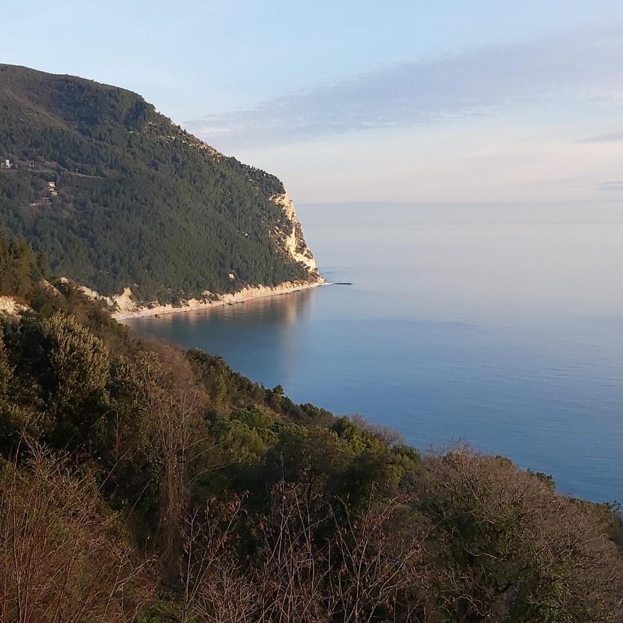 Zelinda Guest house Sirolo